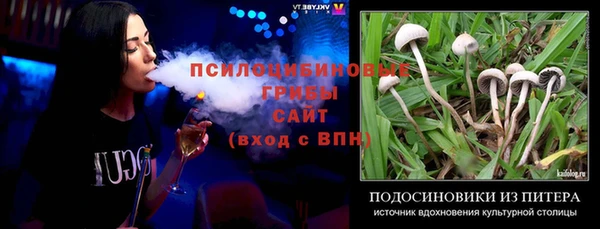 гашик Абаза