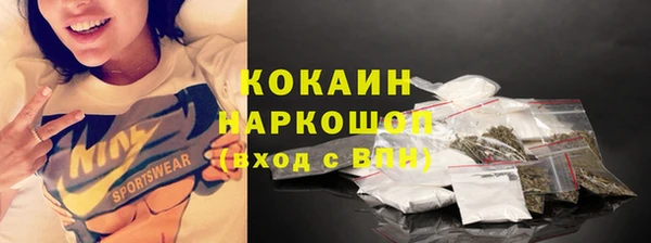 гашик Абаза