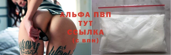 стафф Абинск