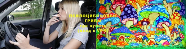 гидра Алексин