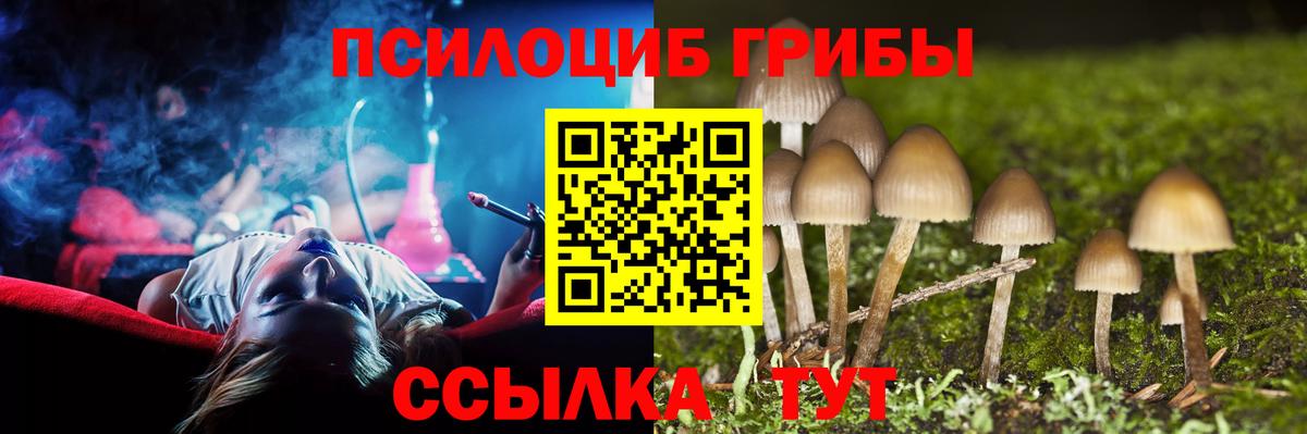 Каменка  Псилоцибиновые грибы ЛСД  Галлюциногенные грибы Psilocybe  Вход с VPN 
